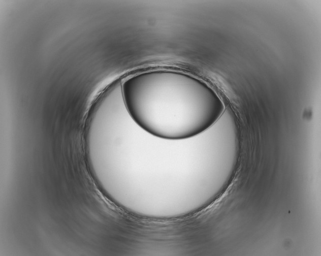 X0000091301164200708101041