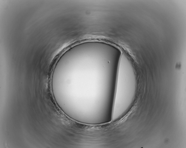 X0000091301165200708101041