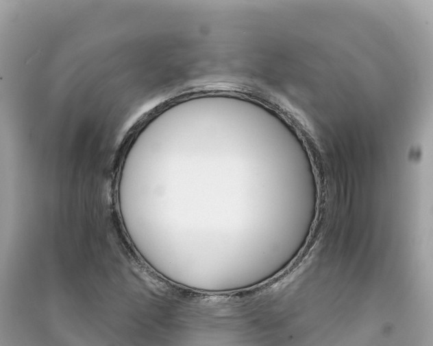 X0000091301166200708101041