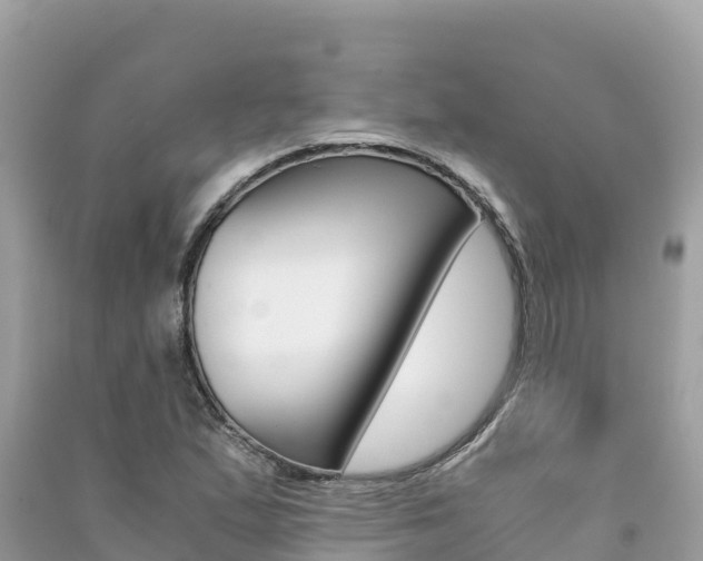 X0000091301167200708101041