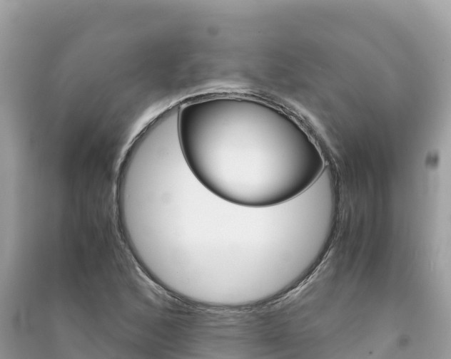 X0000091301168200708101041