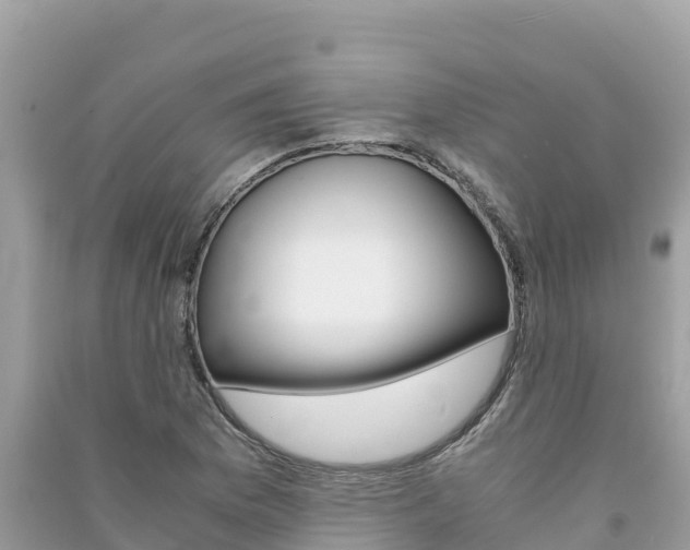X0000091301169200708101041