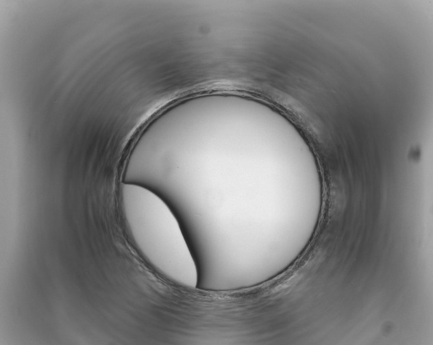 X0000091301170200708101041