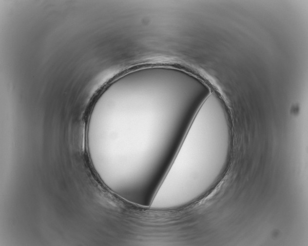 X0000091301171200708101041