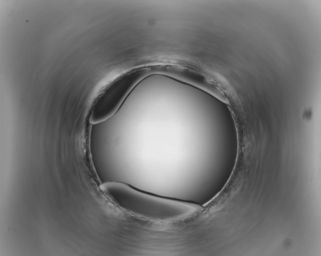 X0000091301172200708101041