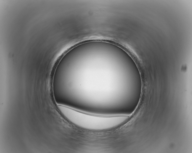 X0000091301173200708101041