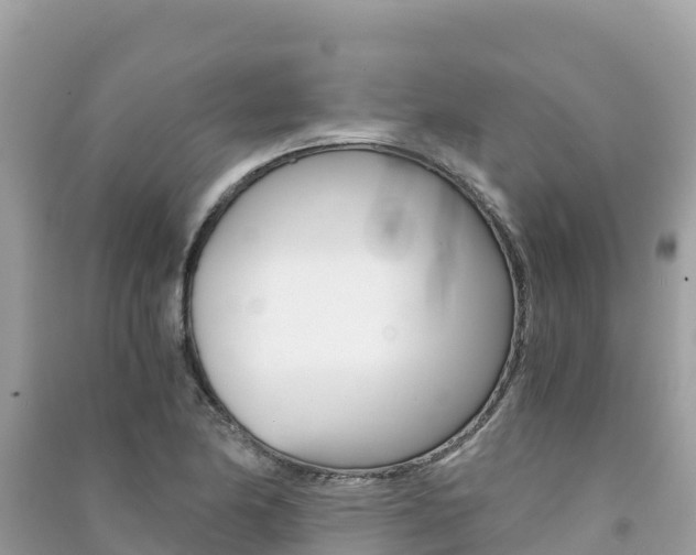 X0000091301174200708101041