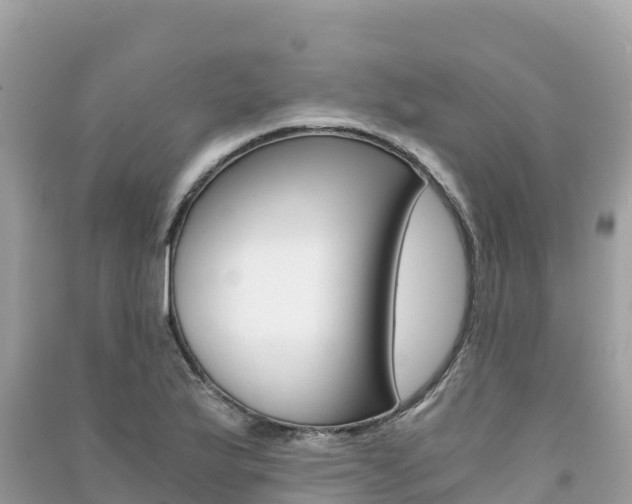 X0000091301175200708101041