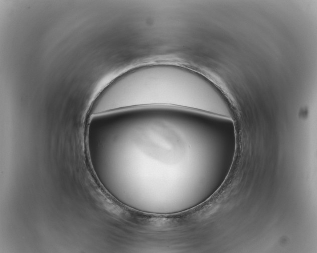 X0000091301176200708101041