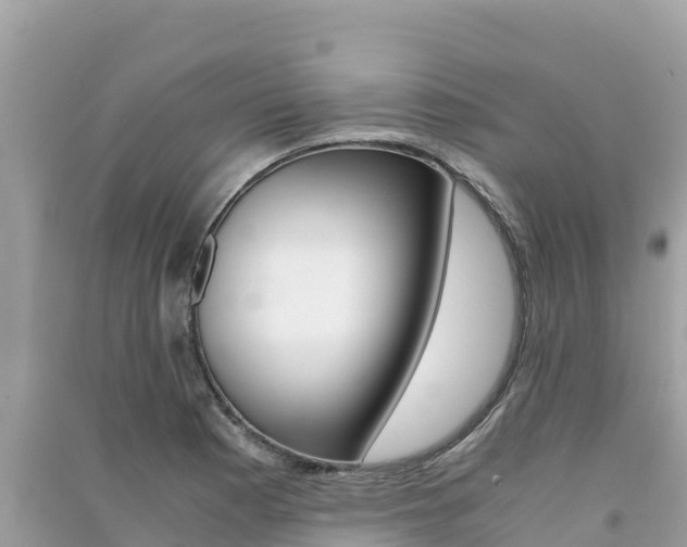 X0000091301177200708101041