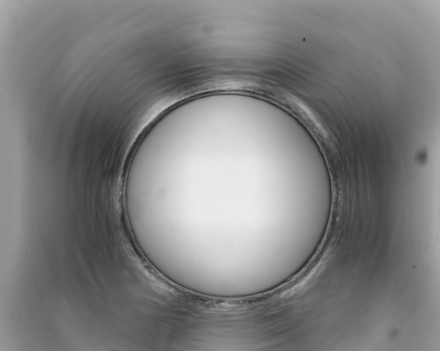 X0000091301178200708101041