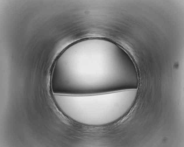 X0000091301179200708101041