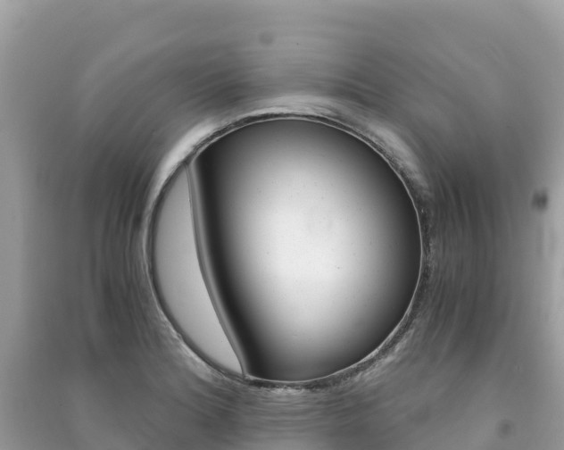 X0000091301180200708101041