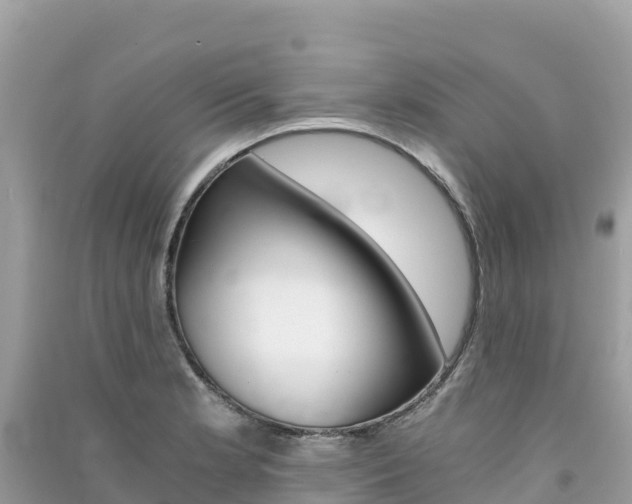 X0000091301181200708101041