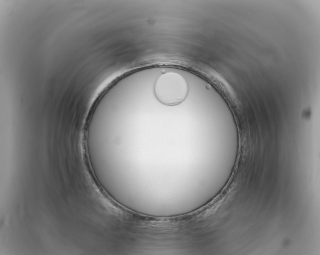 X0000091301182200708101041