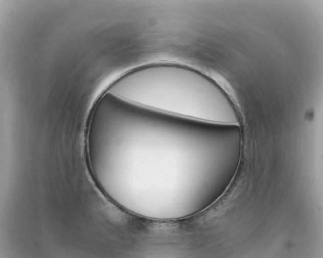 X0000091301183200708101041
