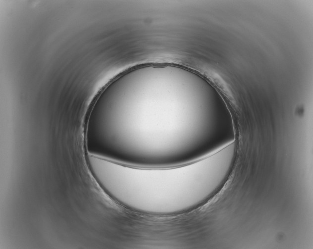 X0000091301184200708101041