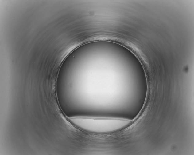 X0000091301185200708101041