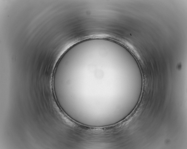 X0000091301186200708101041