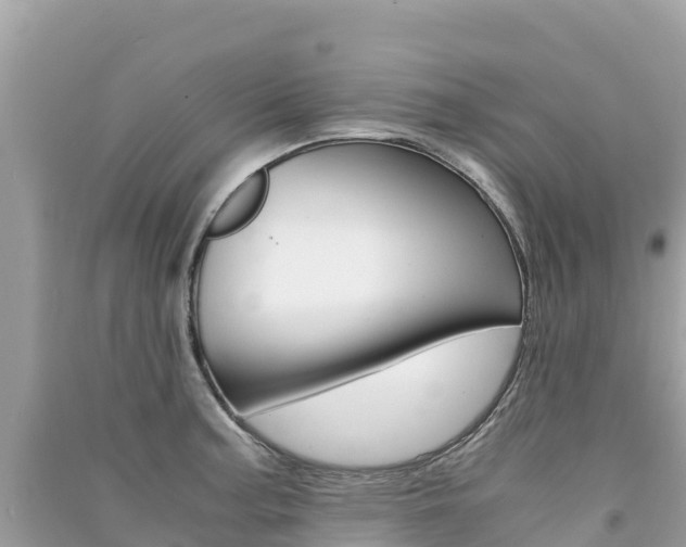 X0000091301187200708101041