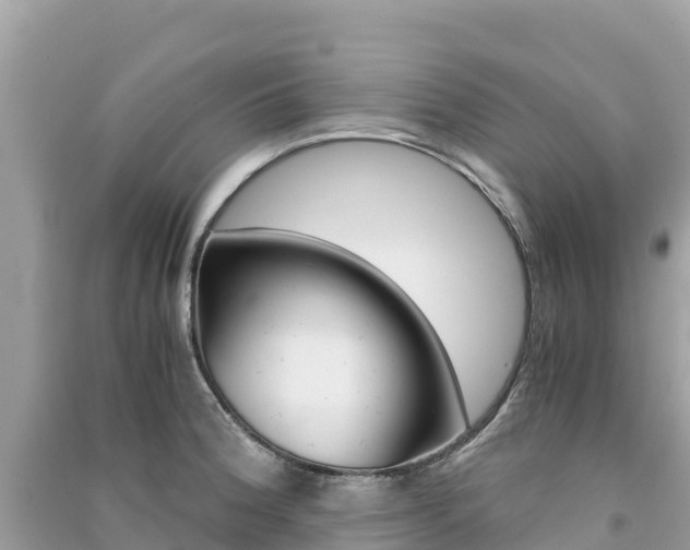 X0000091301188200708101041