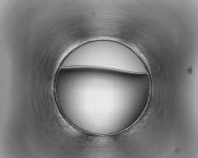 X0000091301189200708101041