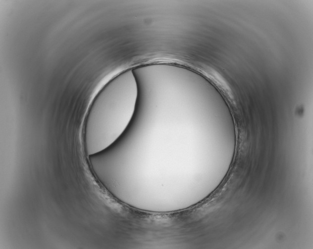 X0000091301190200708101041