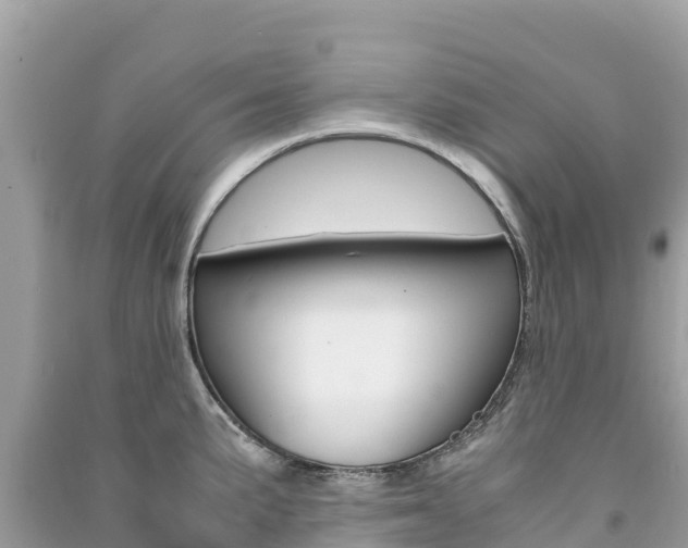 X0000091301191200708101041