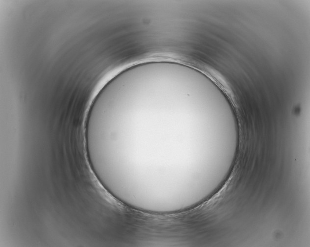 X0000091301192200708101041