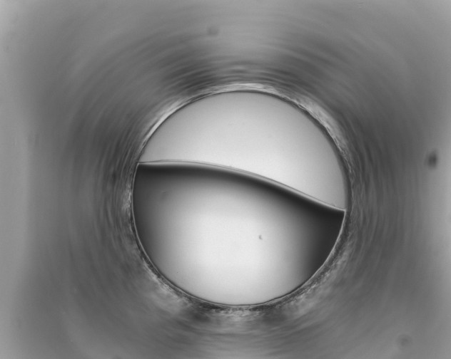 X0000091301193200708101041