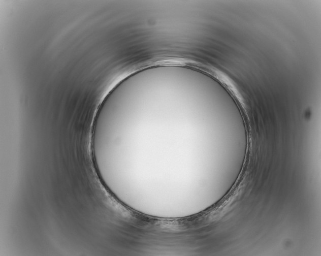X0000091301194200708101041