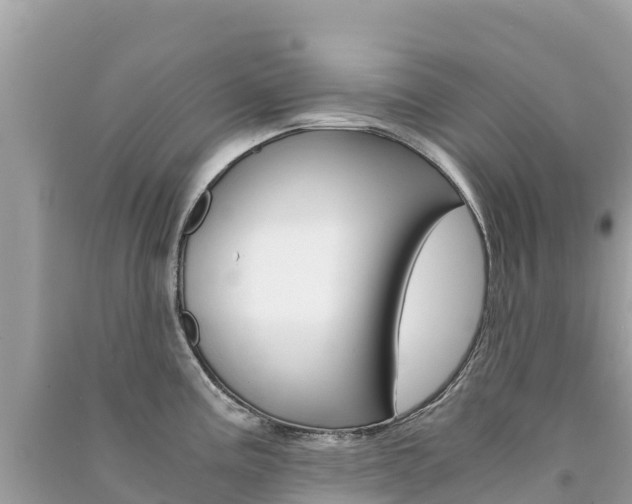 X0000091301195200708101041