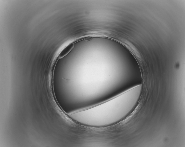 X0000091301196200708101041
