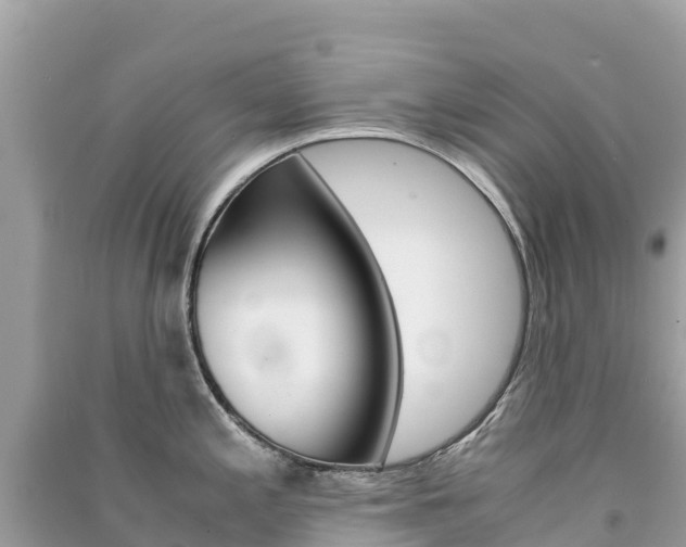 X0000091301197200708101041