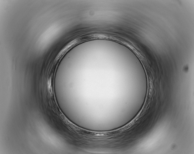 X0000091301198200708101041