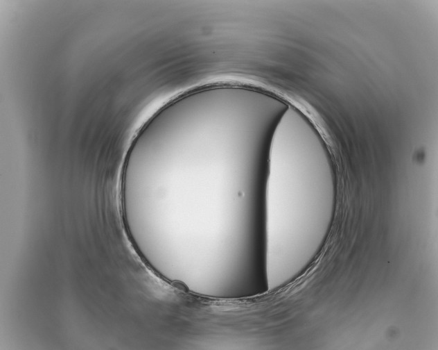 X0000091301199200708101041