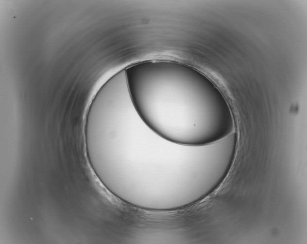 X0000091301200200708101041