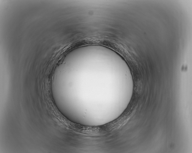 X0000091301201200708101040