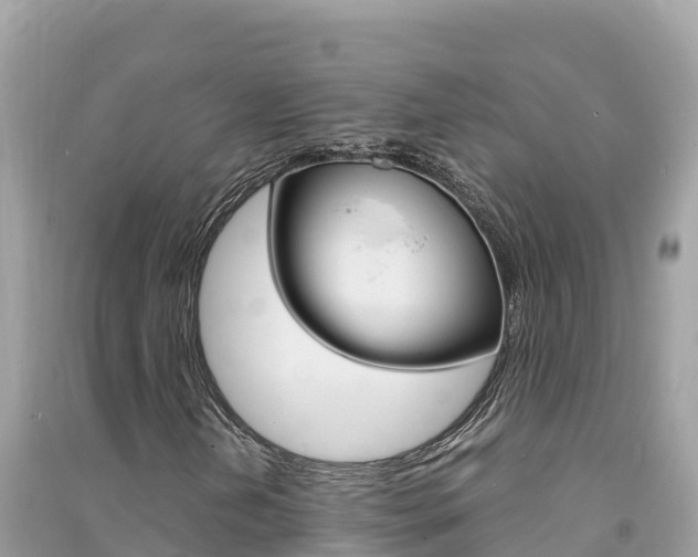 X0000091301202200708101040