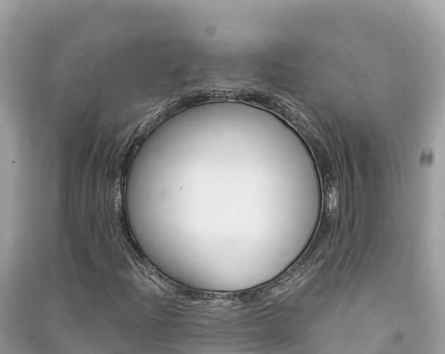 X0000091301204200708101040