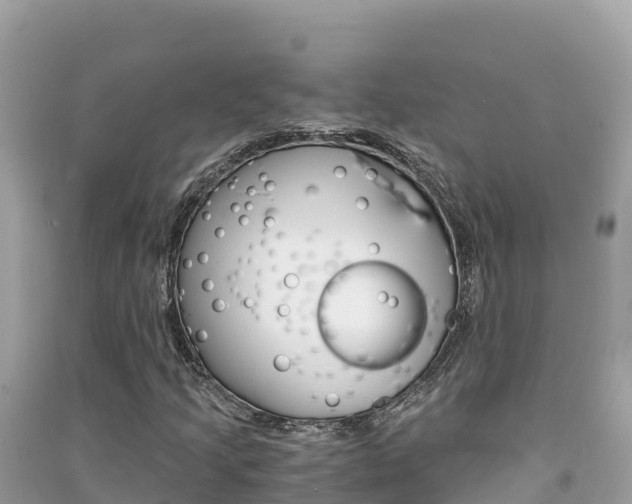 X0000091301205200708101040