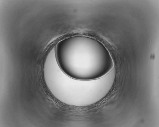 X0000091301206200708101040