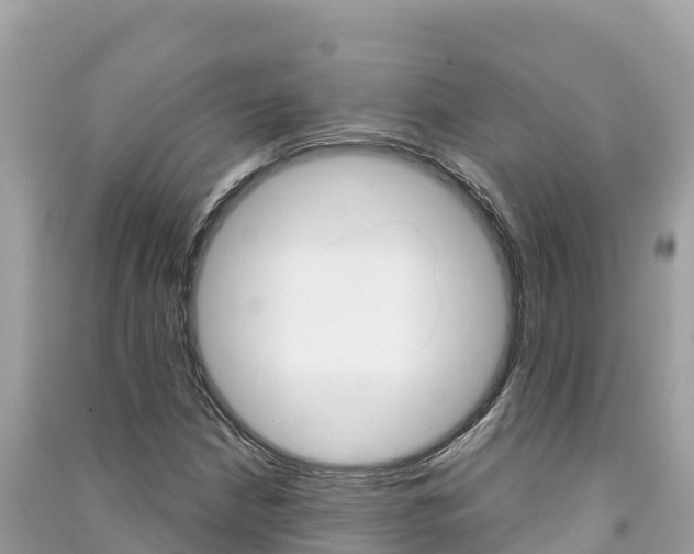 X0000091301210200708101040