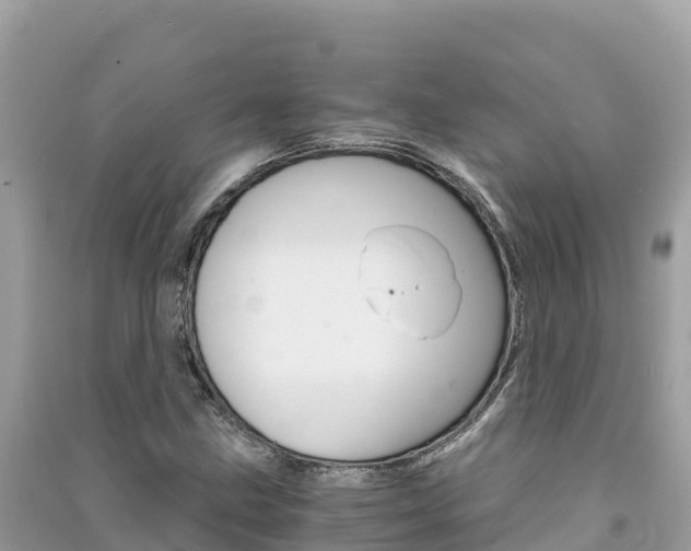 X0000091301211200708101040