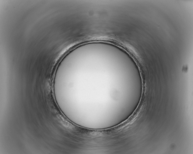 X0000091301212200708101040