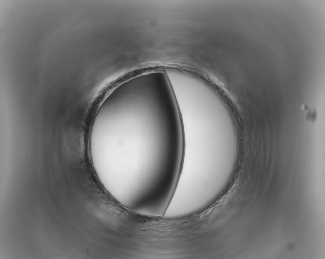 X0000091301214200708101040
