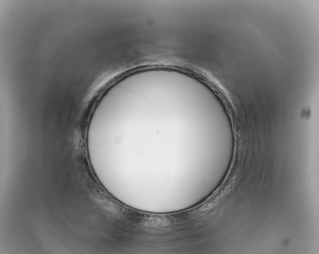 X0000091301215200708101040