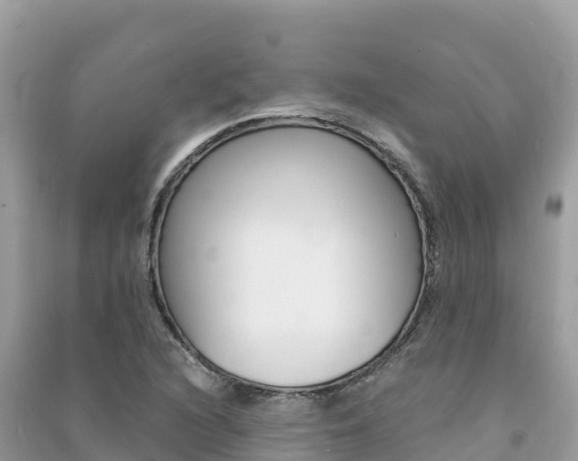 X0000091301216200708101040