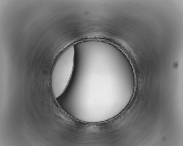 X0000091301217200708101040