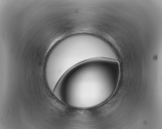 X0000091301218200708101040